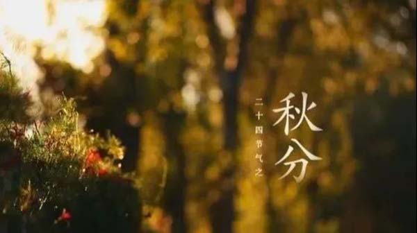 木叶落,雁南归,又是一年秋分至。