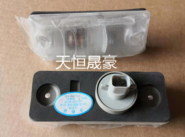 3726035-D539E侧转向灯总成